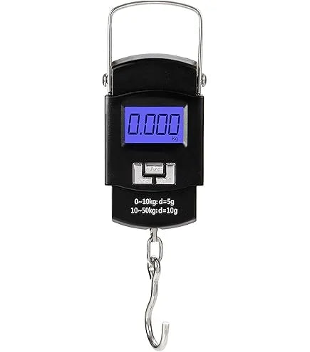 (5gram - 50KG) Digital Luggage Weight Hanging Scale | Travel Portable Weighing Machine for Bags & Fishing (2 Cell Included)